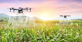 Transforming Agriculture with Innovation: The Role of Mazaplay and Sky247 login